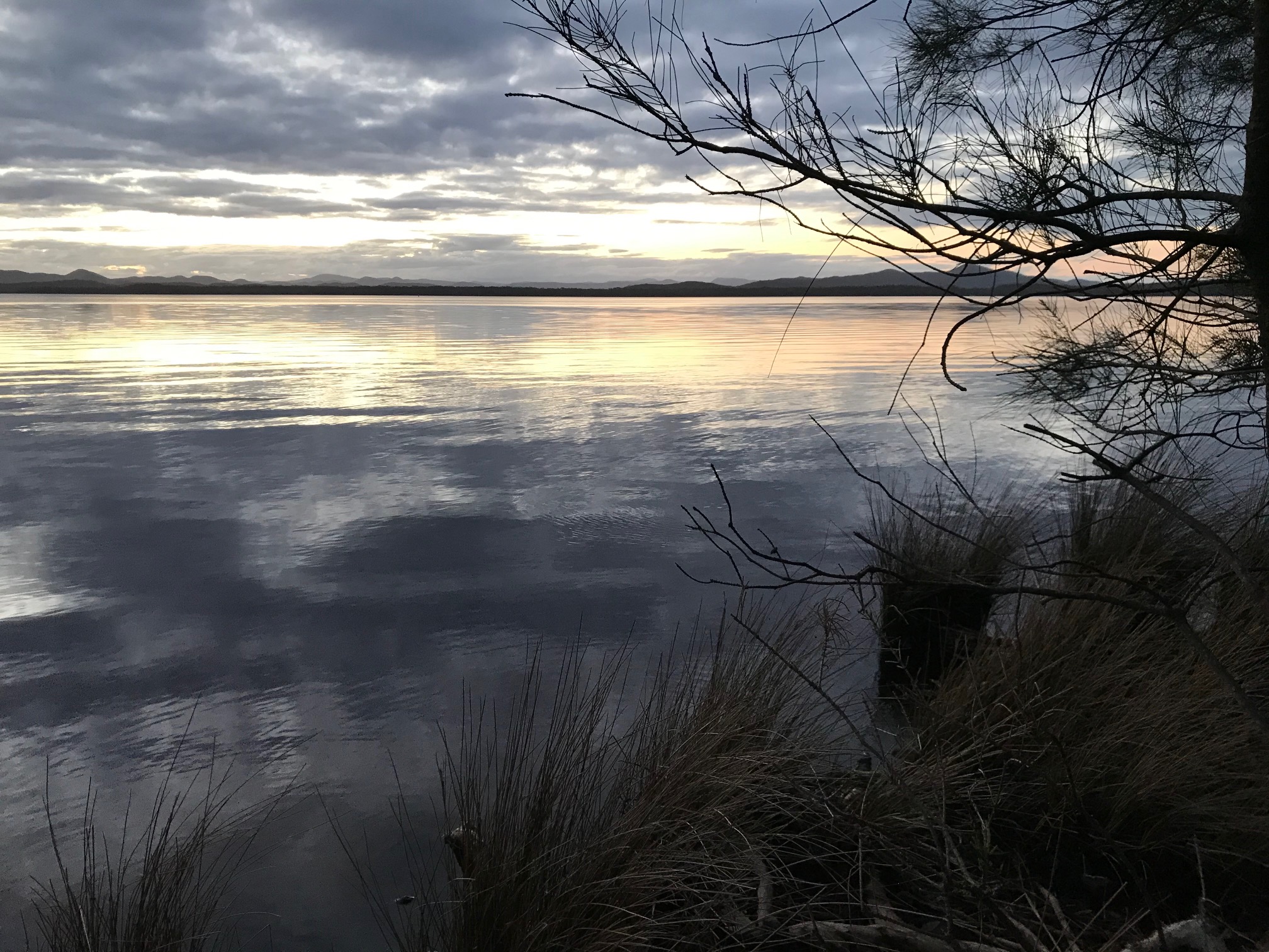 Tranquil water of Myall Lakes at dusk.