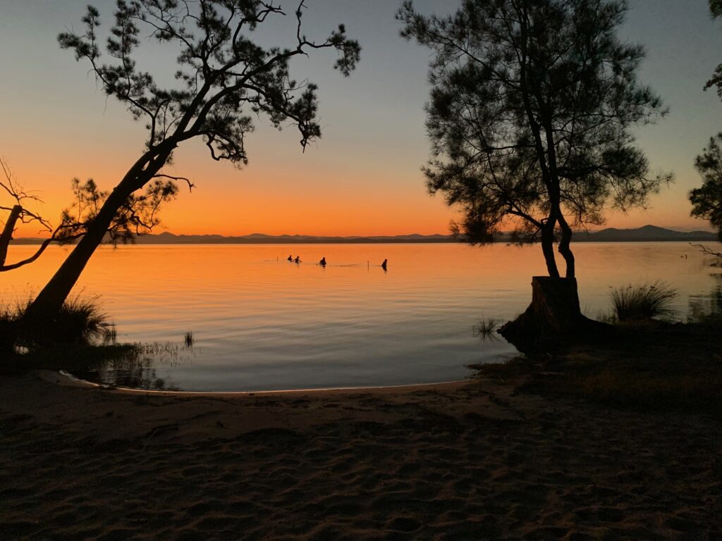 4 people dragging 2 prawning nets in the water at sunset at Mungo Brush, Myall Lakes