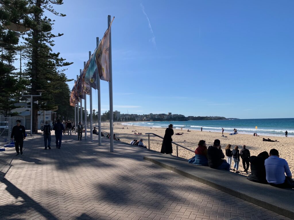 Manly Beach looking north with norfolk pines and flags