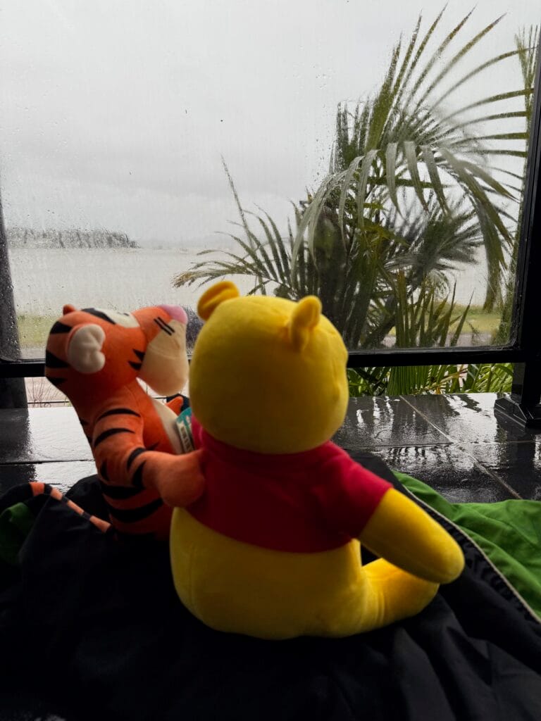 10 Excellent Things to do in Port Stephens when it rains with kids