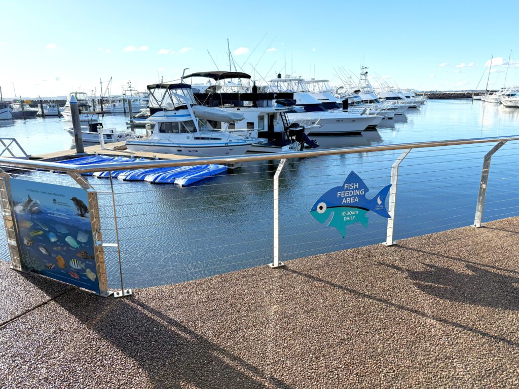 Fish Feeding Station at D'Albora Marina, Port Stephens