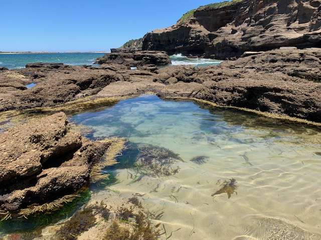 Clear Tidal Pool nestled in the rocks at Caves Beach
