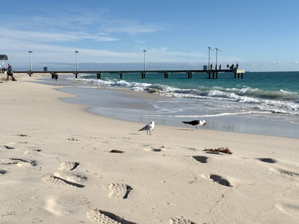 People fishing off the Jurien Bay Jetty with seagulls on the beach in the foreground on a clear sunny day
