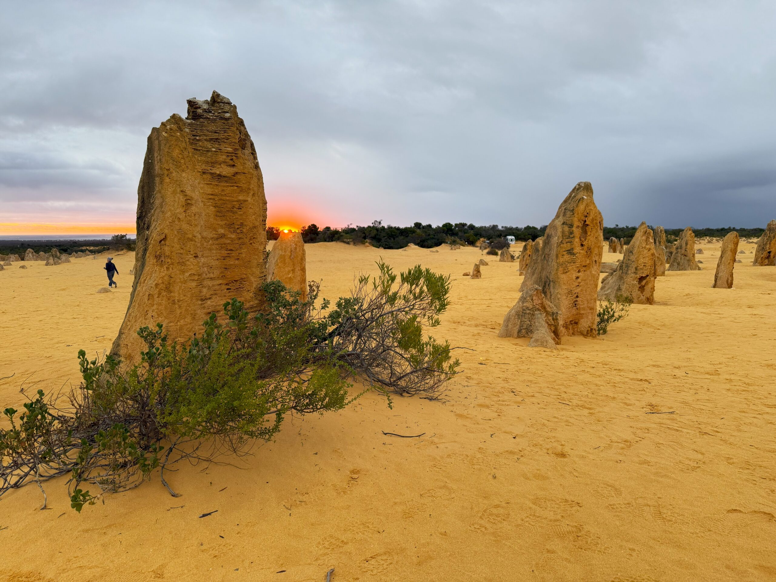 Limestone pillars standing in the desrt at sunset