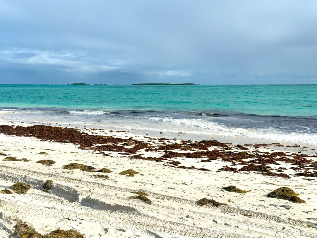 View from Thristy Point of white sandy beach over the turquoise water towards the islands.
