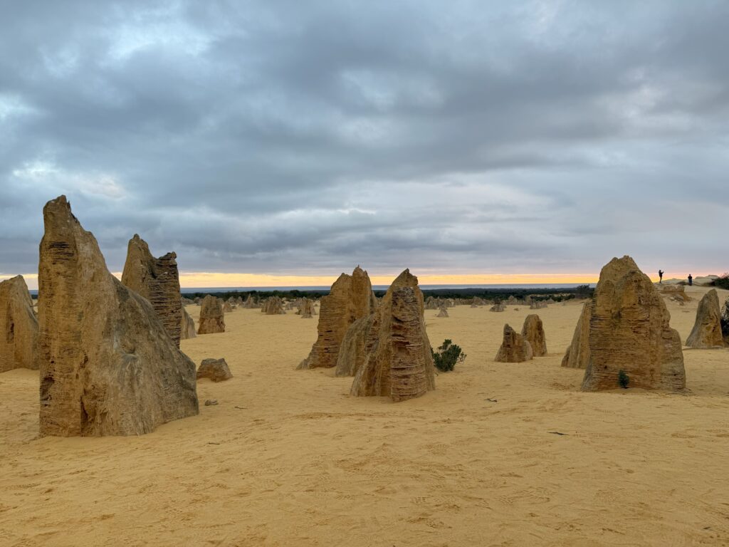 Limestone pillars jutting out of the sandy desert at the Pinnacles, Nambung National Park at sunset