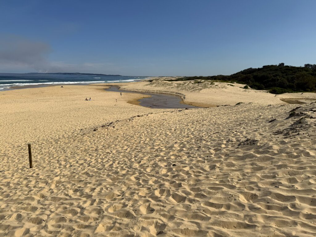 Looking south from Redhead Beach, Lake Macquarie along 9mile beach. People walking along the beach. Creek crossing the beach where kids paddle in the shallow water.