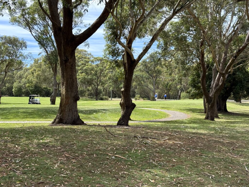 Golfers enjoying a round of golf at Hawks Nest Golf Club