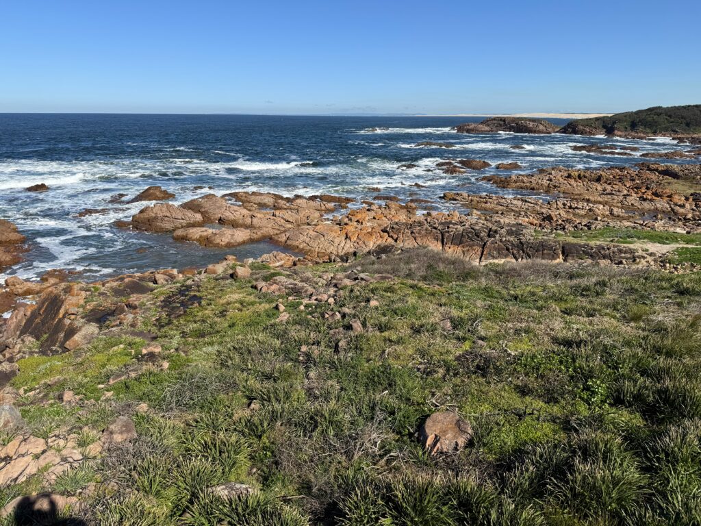 Looking out over the rock platform at Iris Moore Reserve