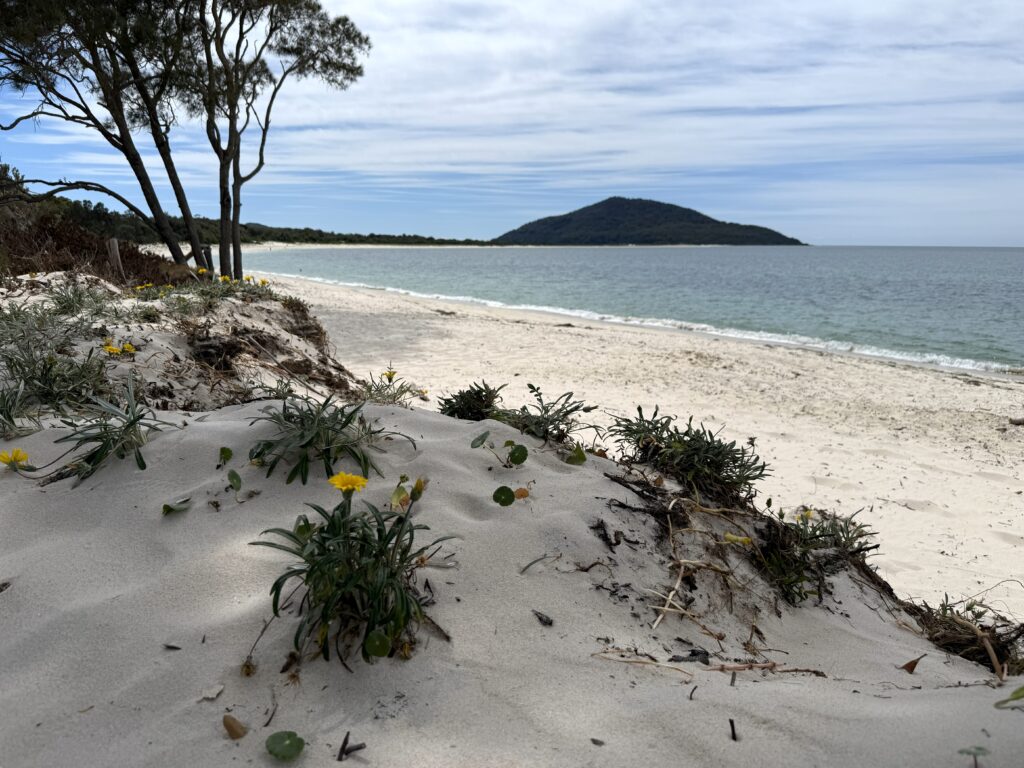 Calm waters of Jimmys Beach, Hawks Nest