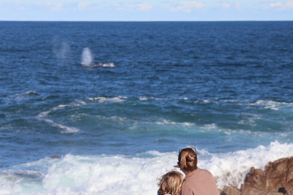 Mother and daughter sitting on the rocky headland at Boat Harbour Whale Watch Lookout in Port Stephens watching whales pass just off shore.