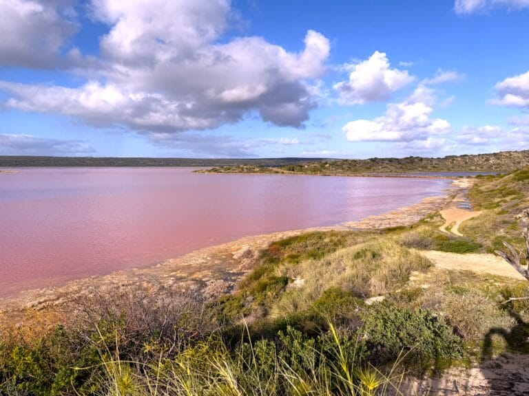 Pink Lake - Hutt Lagoon on Perth to Kalbarri adventure