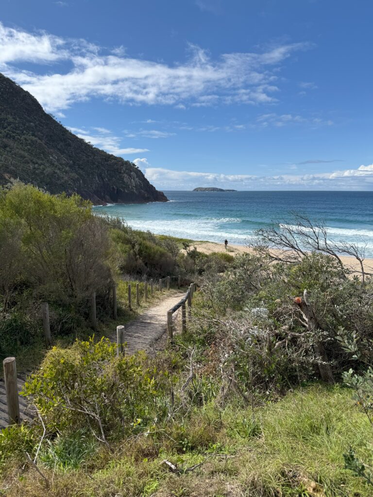 Pathway leading to Zenith Beach on Tomaree Coastal walk