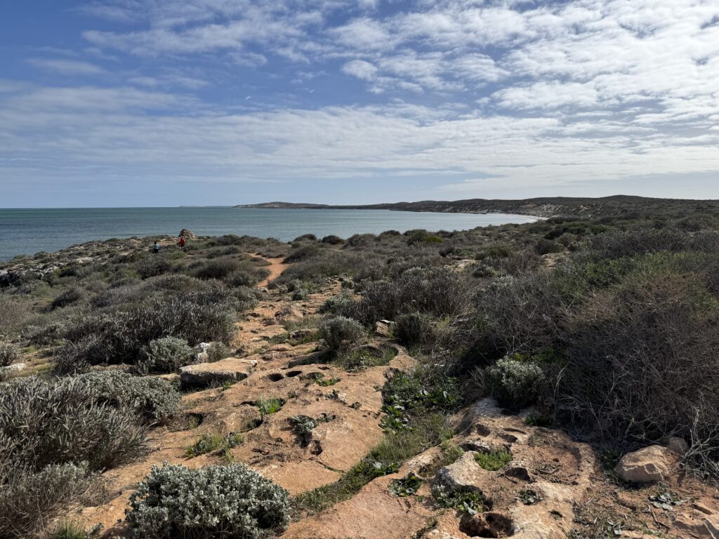 View overlooking the Indian Ocean from Eagle Bluff Lookout, Shark Bay