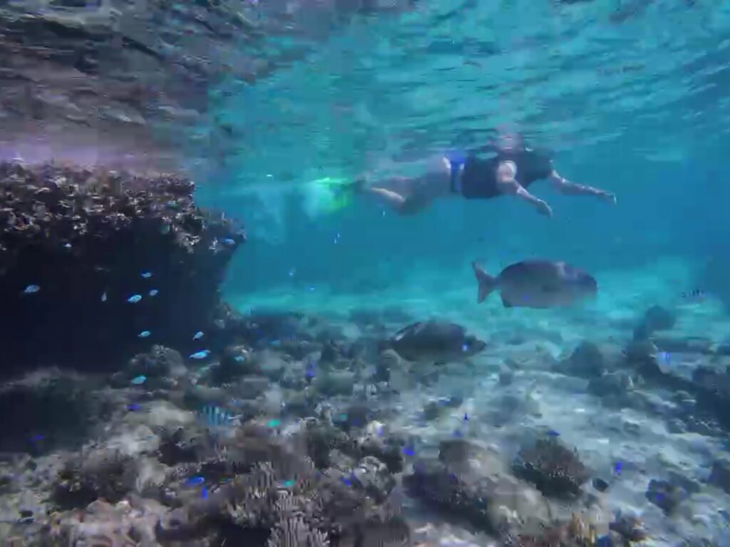 Snorkeling at the Oyster Stacks, Exmouth