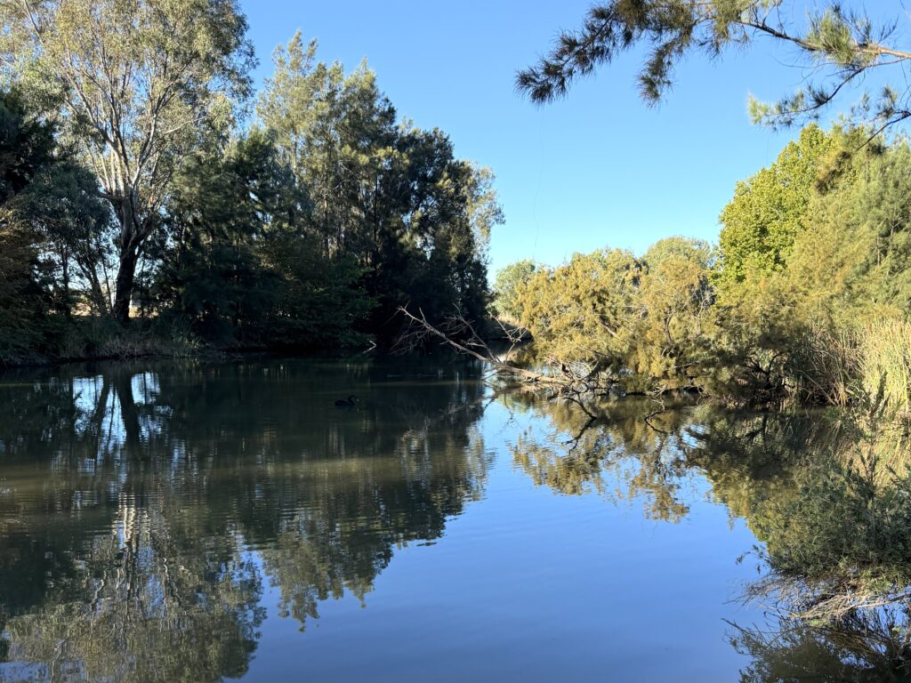 Still waters of the Gudgegong River, Mudgee