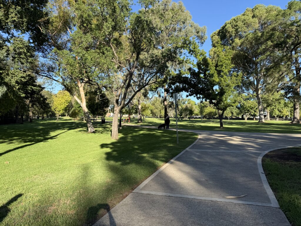 Pathway meandering through the green parklands of Lawson Park on the banks of the Cudgegong River in Mudgee
