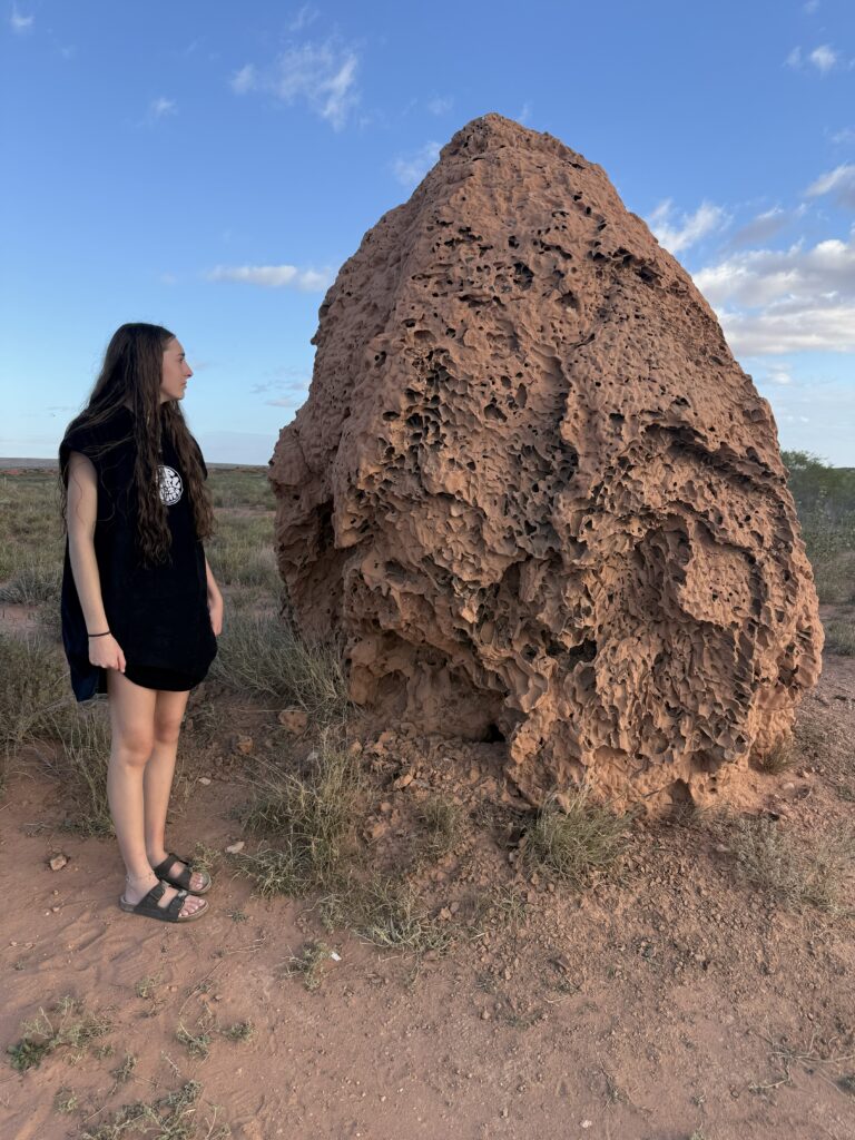Girl admiring the huge size of a termite mound near Exmouth