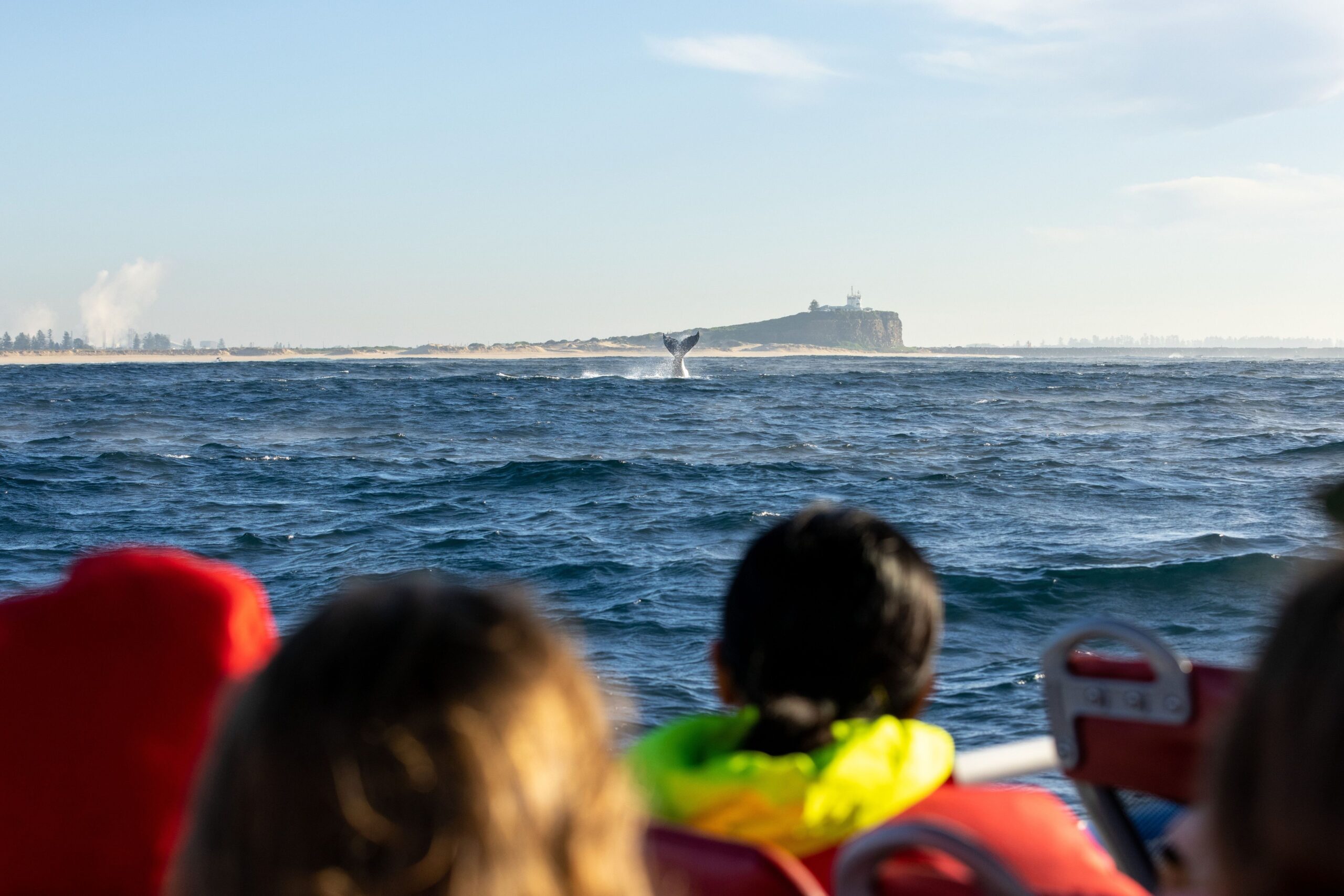 Whale watching with Coast XP with Nobbys lighthouse in the background