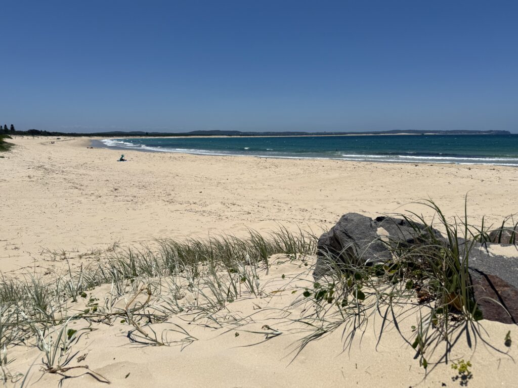 Blacksmiths Beach with its gentle surf is a perfect place to learn to surf