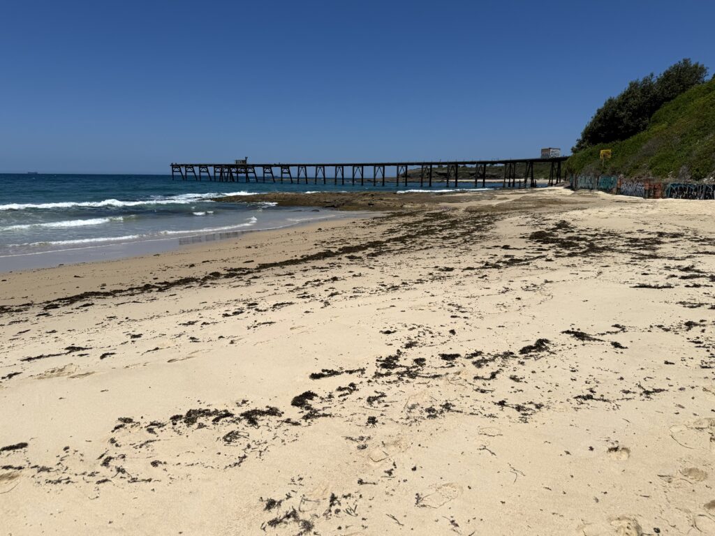 Sandy Catherine Hill Bay Beach with breaking surf and the historic jetty in the distance
