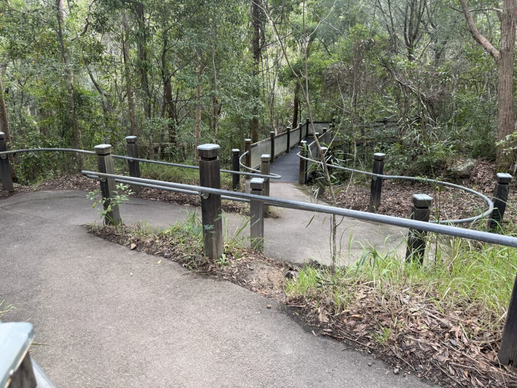 Accessible winding track at the start of the Yuelarbah Walking Track into the spotted gum forest.