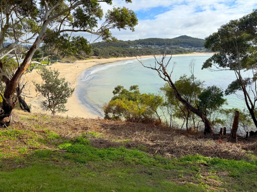 View looking through the trees to Fingal Beach