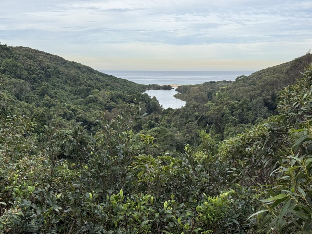 View from the lookout overlooks lush green forest, Glenrock lagoon and out to sea where the coal ships wait.