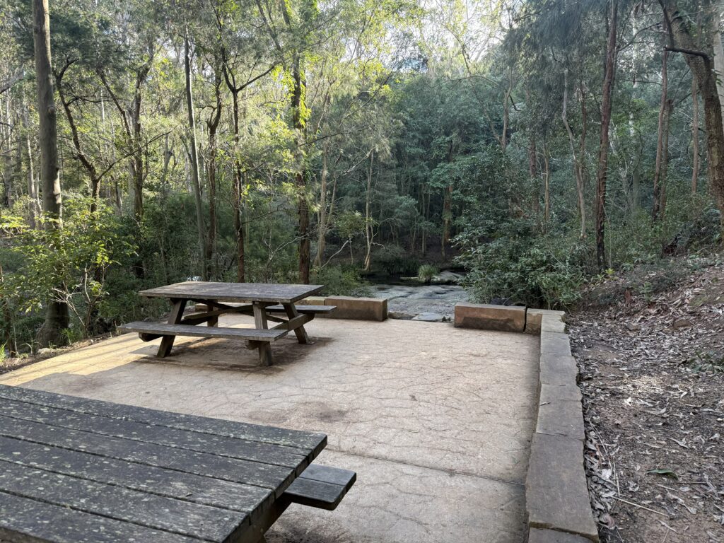 Paved picnic area with 2 wooden tables on the banks of the flaggy creek