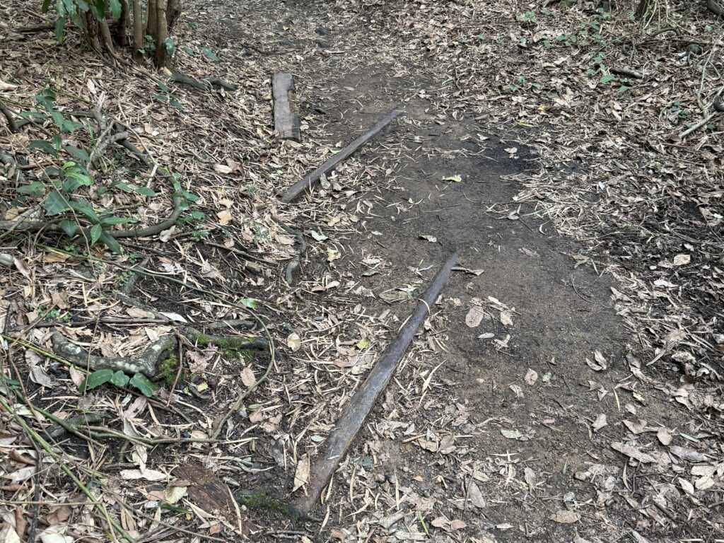 Old ziggy rail tracks cross the path