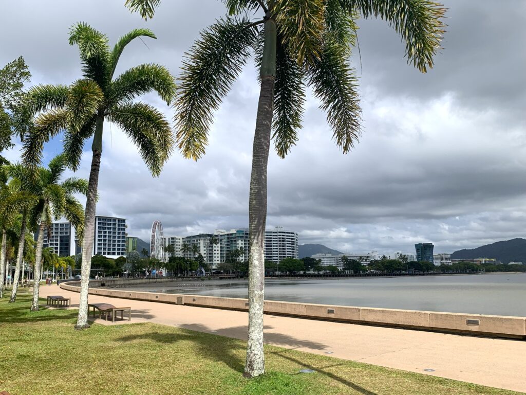 Palm trees line the Cairns foreshore