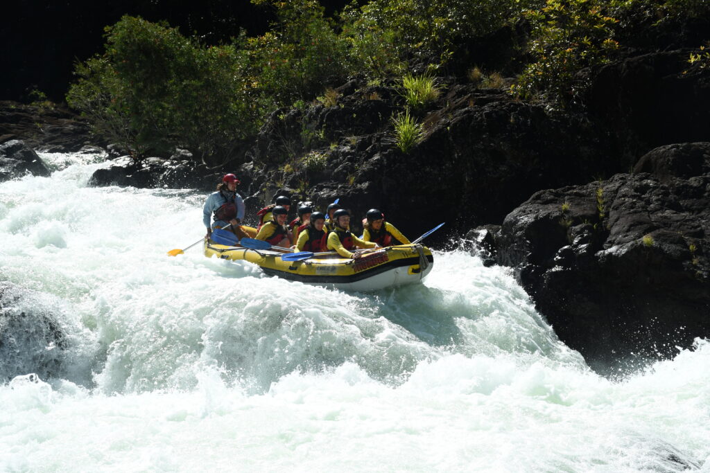 Rafting down the rapids on the Tully River with Raging Thunder