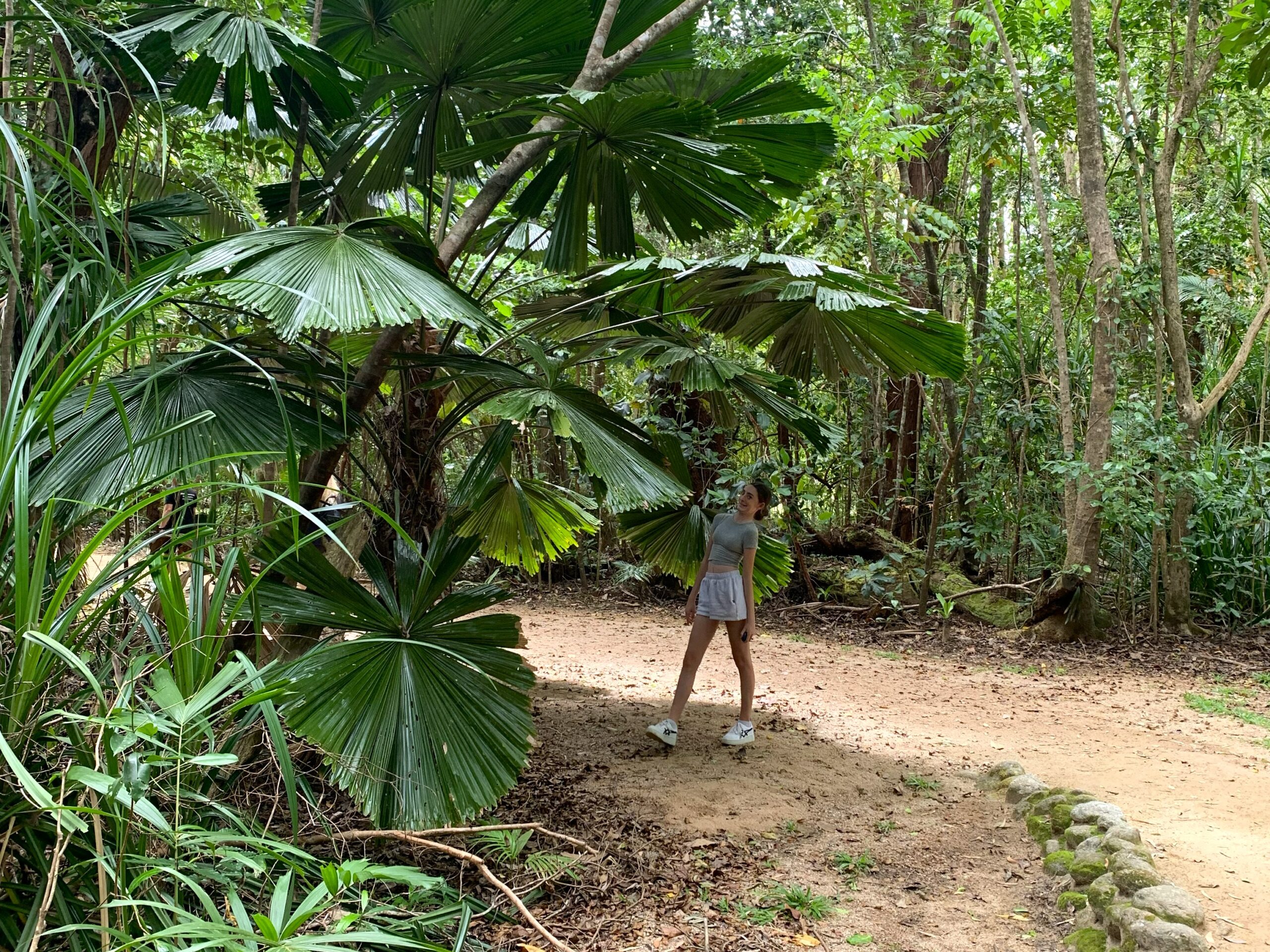 Young girl marvels at the size of the palm leaves on the Dubuji Boardwalk, Cape Tribulation