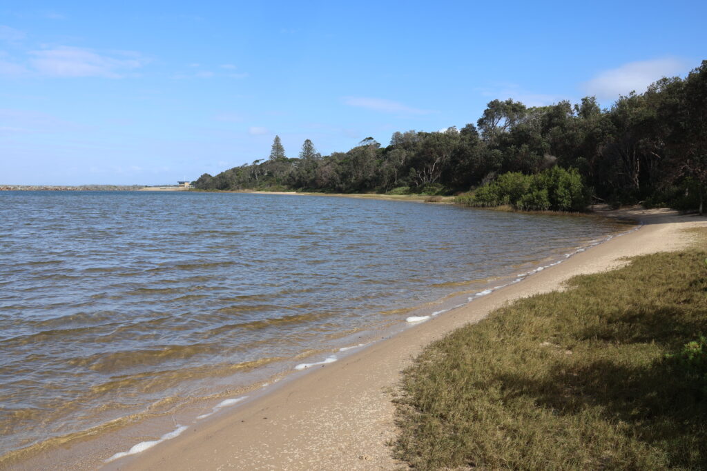 Harrington Lagoon is a perfect place for a young family to spend an afternoon