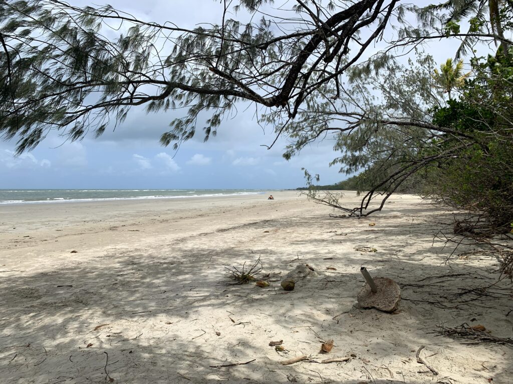 Myall Beach in Cape Tribulation