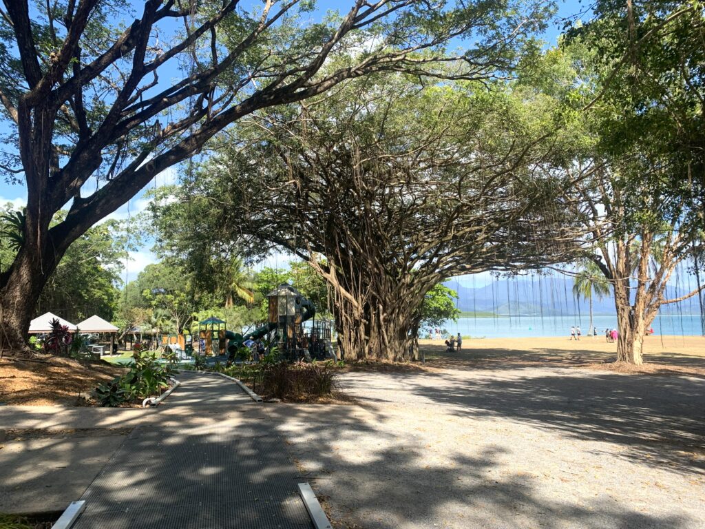 Rex Smeale Park located on the waters edge in Port Douglas is a popular place for kids to play on the park and families to have a picnic in the shade of the giant fig trees.