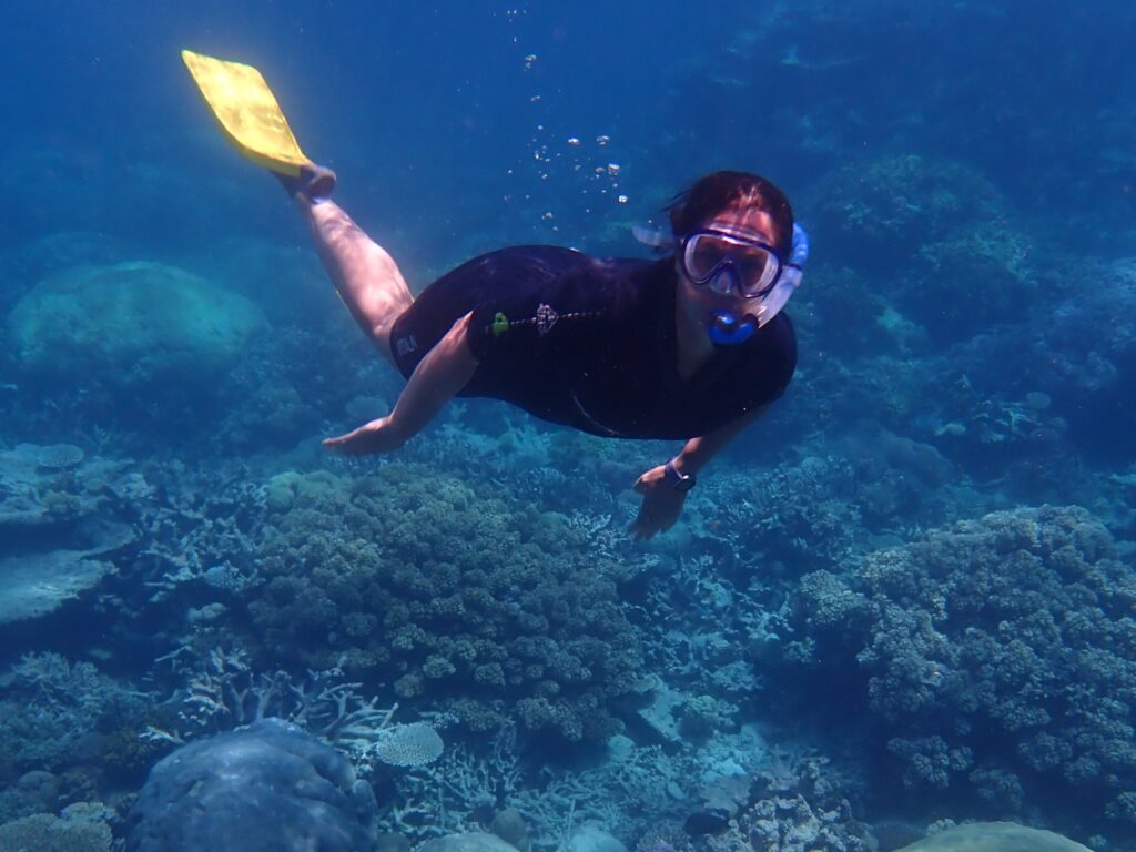 Author snorkelling on the Great Barrier Reef