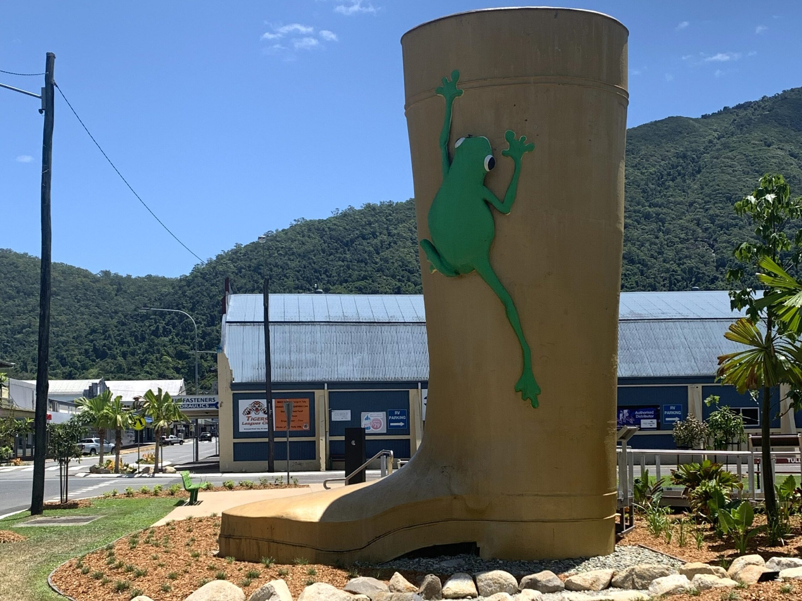 The 7.9m tall Golden Gumboot at Tully with a green tree frog climbing the outside