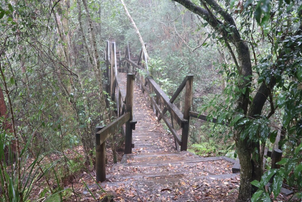 Wooden Bridge on the track to the Knoll Lookout at Ellenborough Falls