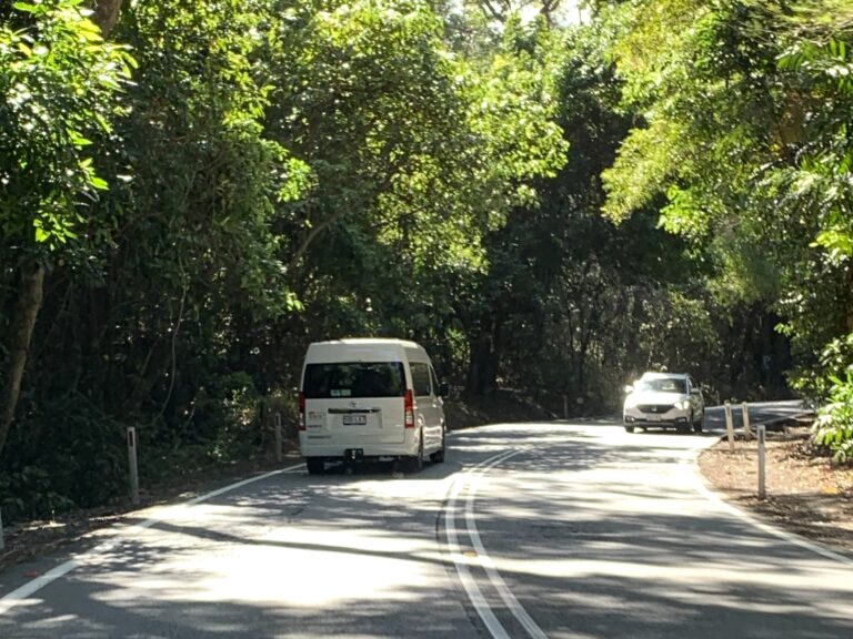 Driving along the winding sealed road north of the Daintree River towards Cape Tribulation