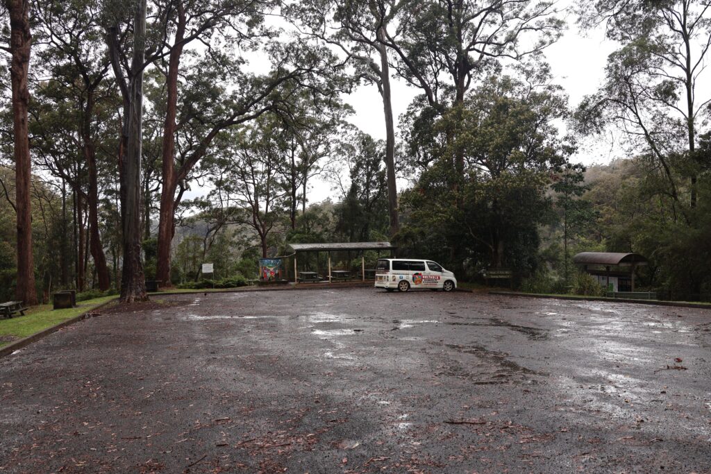 Carpark at Ellenborough Falls with BBQ and picnic areas surrounded by tall eucalyptus trees 