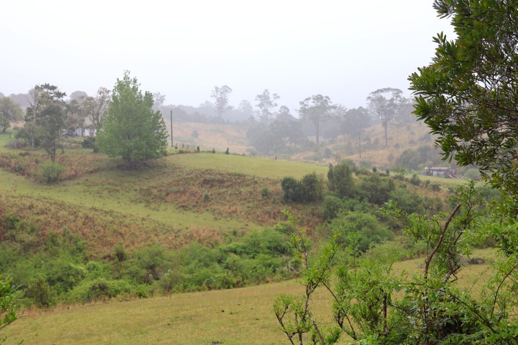 On the way to Ellenborough Falls, you pass through green farm land
