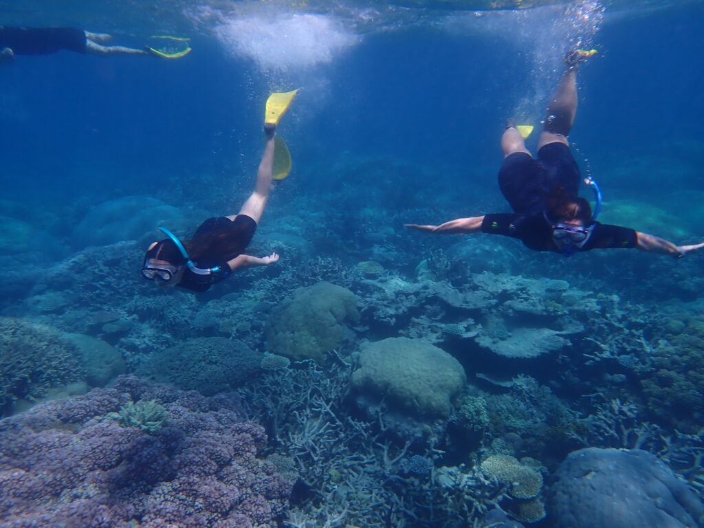 Two snorkellers dive to get a closer look at the coral below.