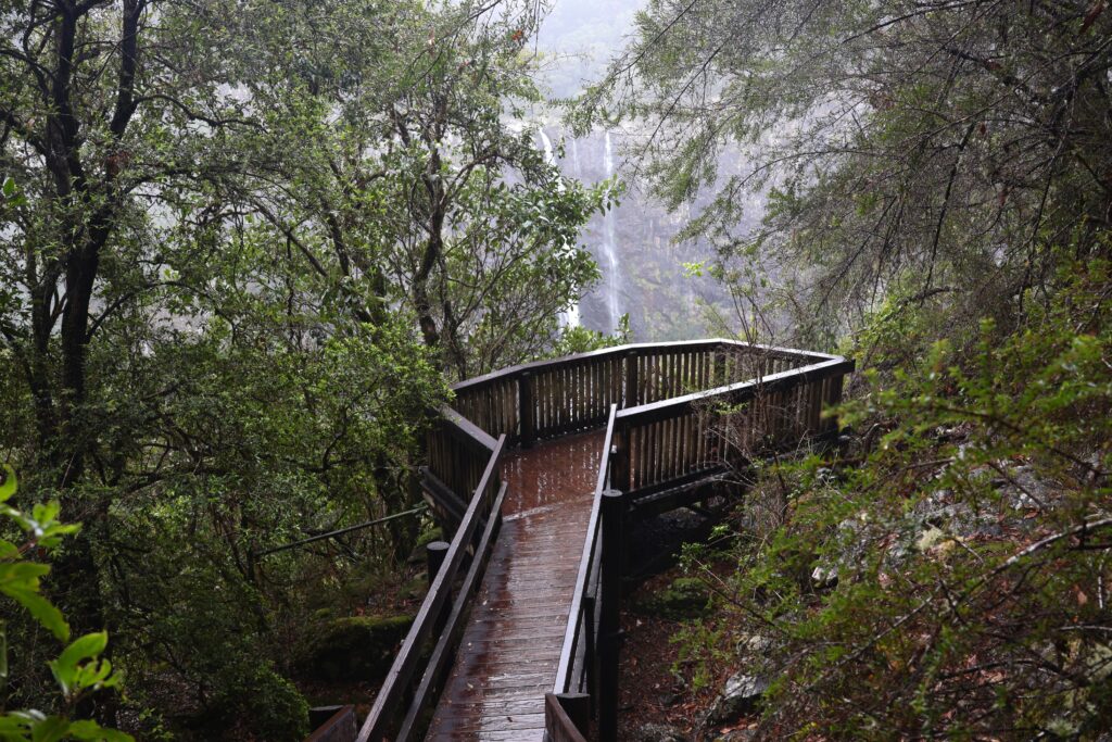 The wooden platform of the Knoll Lookout looking out to Ellenborough Falls
