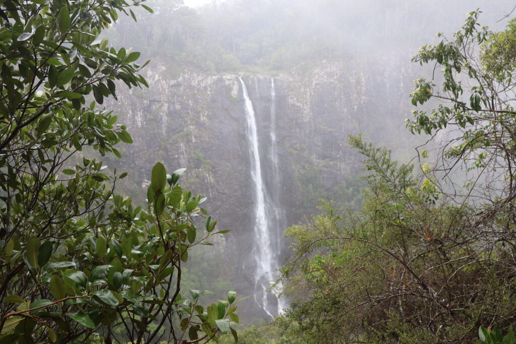 View of Ellenborough falls from The Knoll Lookout in the Barrington Tops National Park