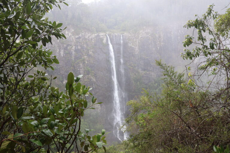 View of Ellenborough falls from The Knoll Lookout in the Barrington Tops National Park
