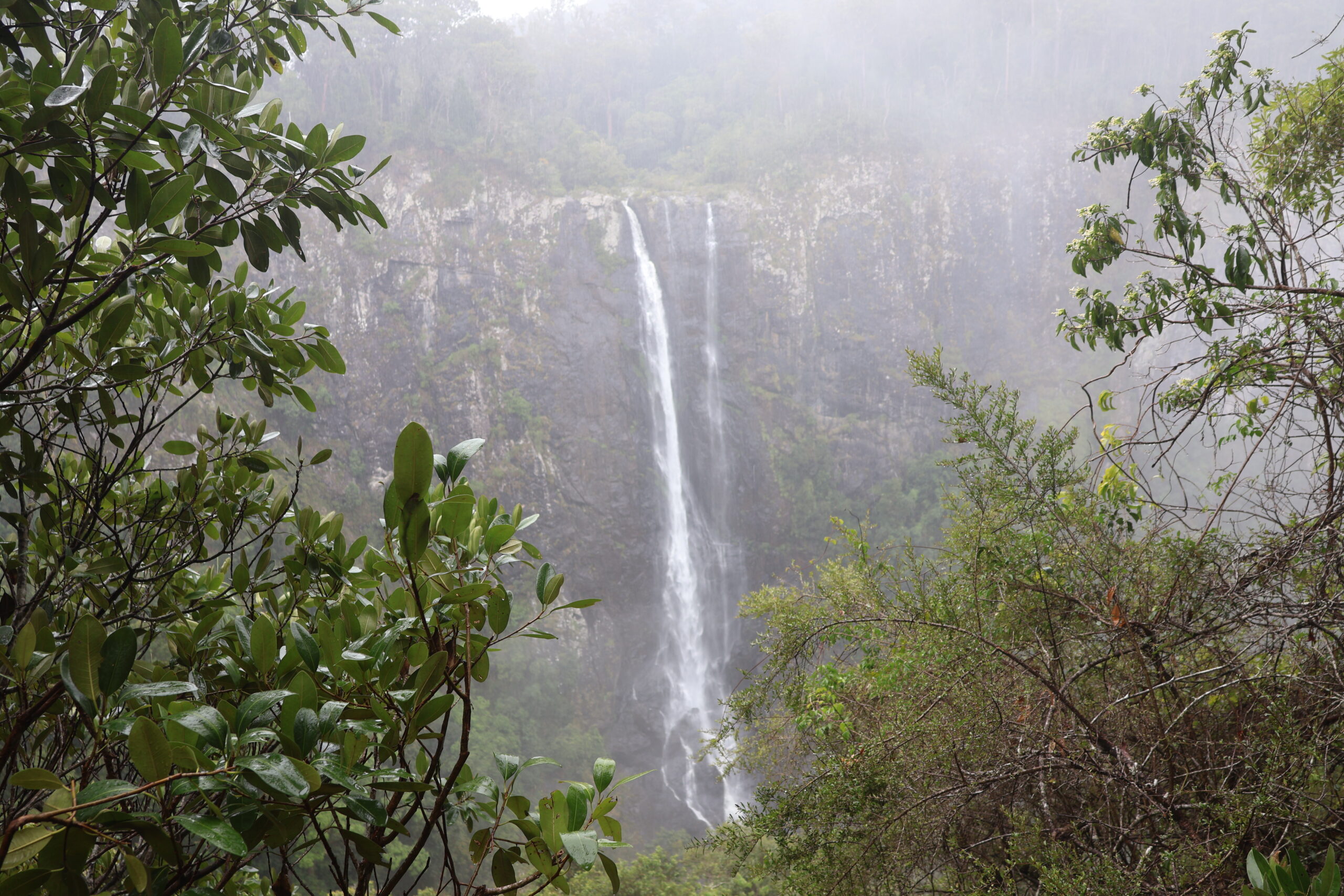 View of Ellenborough falls from The Knoll Lookout in the Barrington Tops National Park